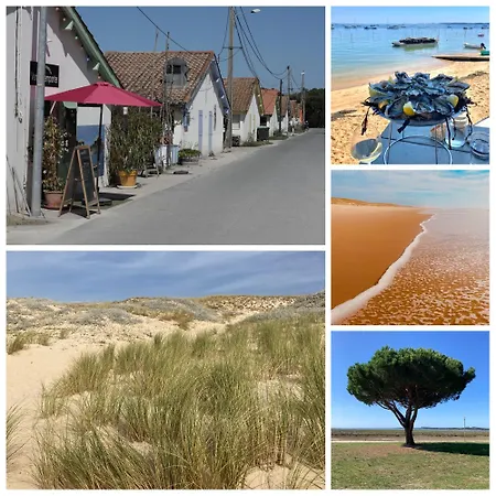 公寓 Duplex Bord Bassin D'arcachon