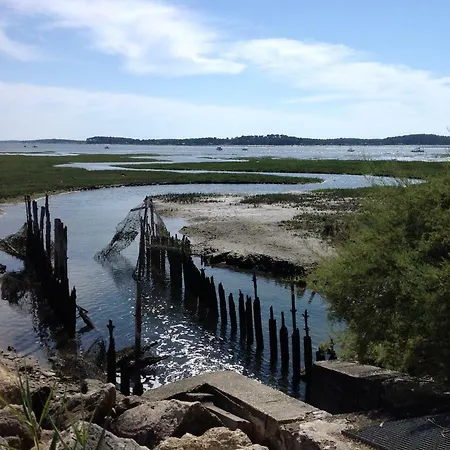 Duplex Bord Bassin D'arcachon